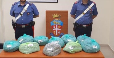 La marijuana sequestrata dai carabinieri di Locri