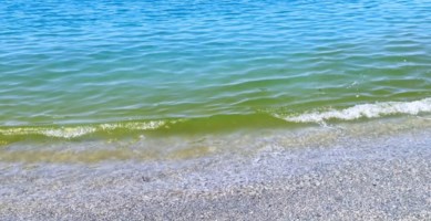 Il mare come una discarica, rifiuti e acqua verde: benvenuti nella costa lametina
