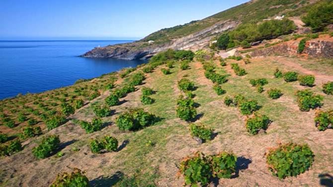 Pantelleria, foto ansa 