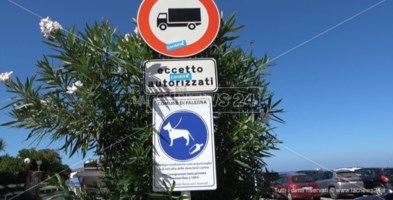 «Sono stato io, scusate»: turista 28enne restituisce al Comune i cartelli divelti a Falerna