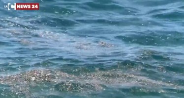 Mare sporco, d’Ippolito (M5s) all’assessore De Caprio: «Il problema non è stagionale»