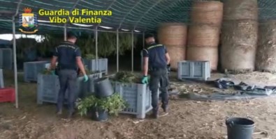 I finanzieri all’interno dell’azienda agricola