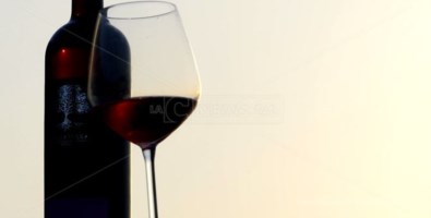 EccellenzeConcours Mondial de Bruxelles, prosegue il tour tra vini e sapori di Calabria