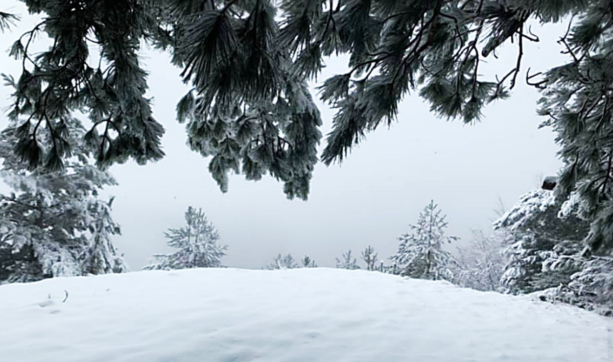 Neve in Sila, foto di Francesco Lico condivise sui social 