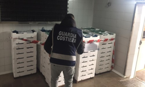 Maxi sequestro di novellame tra Crotonese e Reggino: sanzioni per 50mila euro