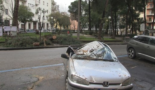 L’auto parcheggiata in centro a Cosenza distrutta dal crollo di un albero