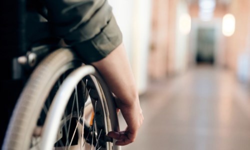 Insieme per l’inclusioneLavoro Calabria, quattro aziende del Reggino accolgono tirocinanti con disabilità