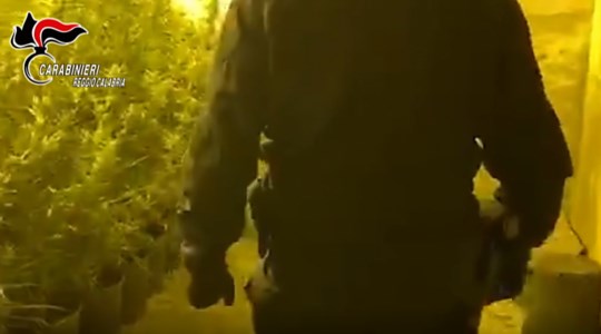 Due piantagioni di marijuana in casa a Platì: per coltivarle usavano un impianto elettrico abusivo