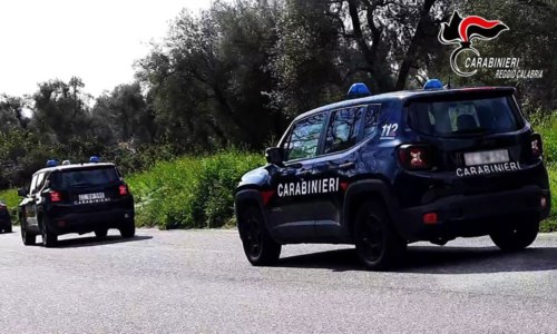 Controlli dei carabinieri alle aziende agricole della Piana: sanzioni per 14mila euro