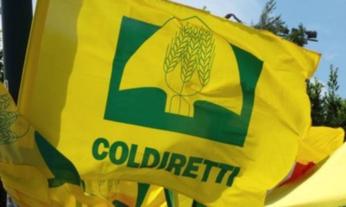 Covid e ristorazione, Coldiretti: «Con la zona bianca aumento del fatturato del 20%»