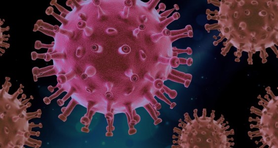 Variante Delta, il primario di Cosenza: «Nessun virus muta in eterno, doppia dose vaccino fondamentale»