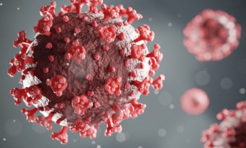 Lotta al coronavirusNuovi farmaci e vaccini anti-Covid anche grazie ai ricercatori calabresi: «Bene i primi test»