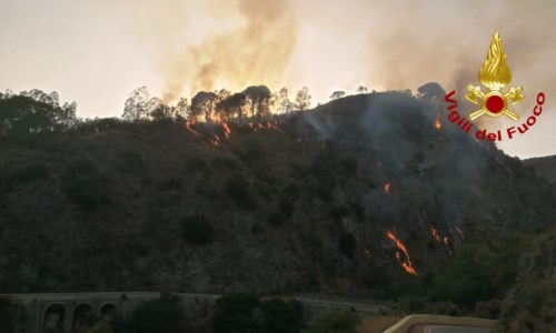 Calabria nella morsa del caldo e degli incendi: in fiamme ettari di macchia mediterranea -LIVE