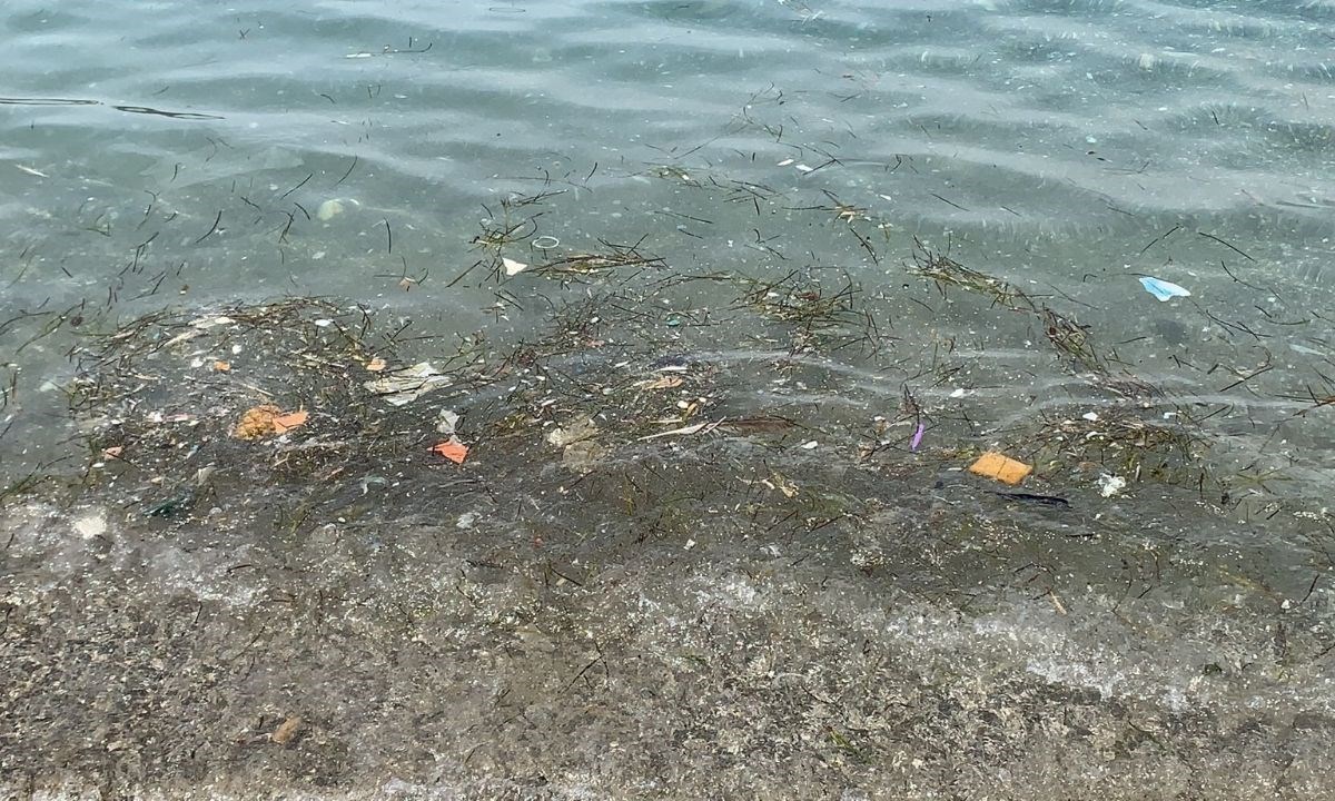 Il mare sporco a Sangineto