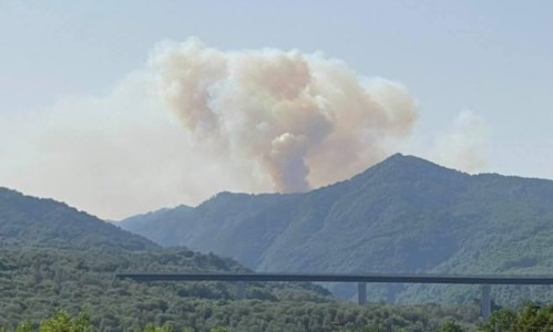 Calabria in fiamme«Il fuoco sta arrivando alle faggete Unesco», incendio sull’Aspromonte: servono uomini e mezzi aerei - LIVE