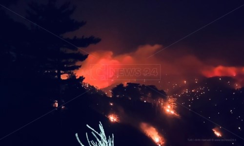 La Calabria bruciaIncendi, altra notte di fuoco in Aspromonte: ora le fiamme si dirigono verso Montalto