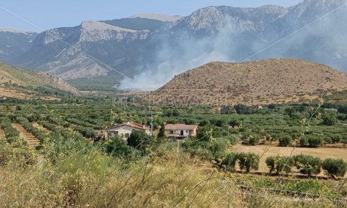 La Calabria bruciaIncendi, fiamme nei pressi dell’autostrada A2: traffico bloccato nel Cosentino -LIVE