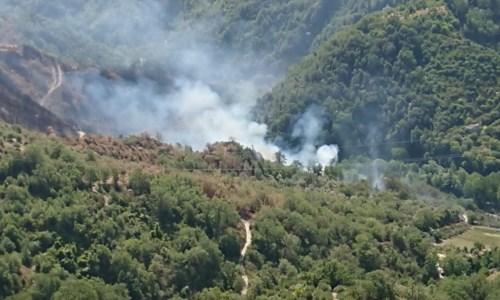 Il drammaAcri, gravemente ustionato in un incendio divampato nel suo terreno: muore un 56enne