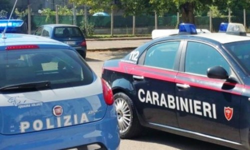 Le indaginiRecuperate 13 auto rubate in provincia di Torino: arrestato un uomo del Reggino per riciclaggio