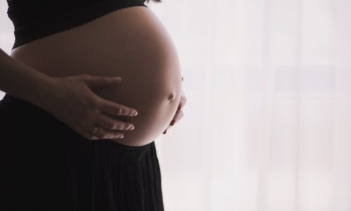 Covid, sconsiglia vaccino a donna incinta: licenziata centralista del Cup