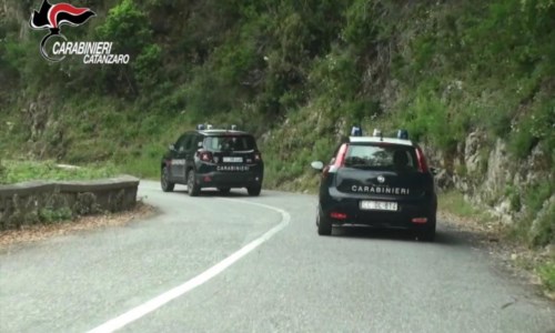 Violenza domesticaBotricello: aggredisce la compagna al culmine di una lite, intervengono i carabinieri