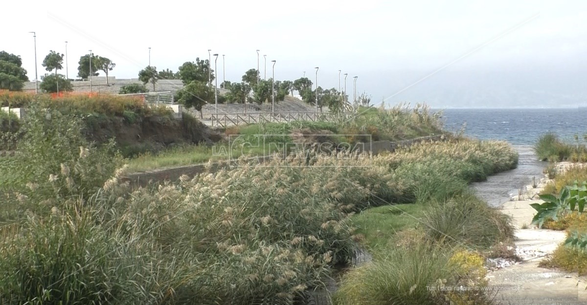 Foce del torrente Calopinace con vegetazione a Reggio Calabria