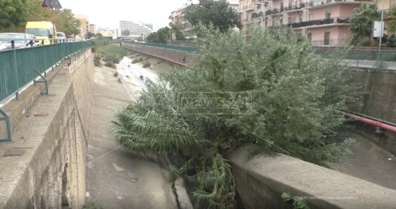 Torrente Calopinace con vegetazione a Reggio Calabria
