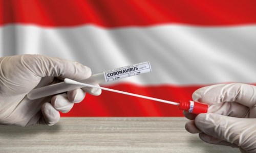 Emergenza pandemiaIl Covid rialza la testa in Europa, lockdown generale in Alta Austria e a Salisburgo