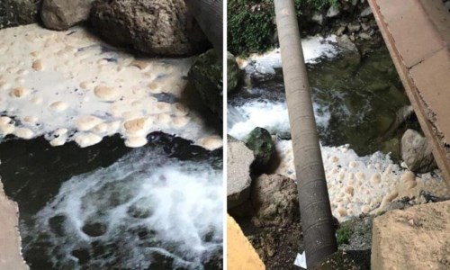Le foto della vergognaFuscaldo, fango e melma dal depuratore: le immagini shock dei liquami che finiscono in mare