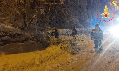 MaltempoNevicate in Sila, disagi sulla statale 107 per caduta alberi: ripristinata la circolazione