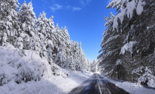Cartoline dalla CalabriaTra disagi e spettacolo, la neve disegna panorami mozzafiato in Sila: foto e video