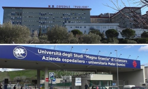 Sanità CalabriaPugliese vs Mater Domini, tutti i voti di Agenas sui due ospedali freschi di fusione: chi fa meglio e chi peggio