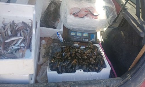Isola Capo Rizzuto, sequestrati 15 kg di prodotti ittici: multato venditore ambulante 