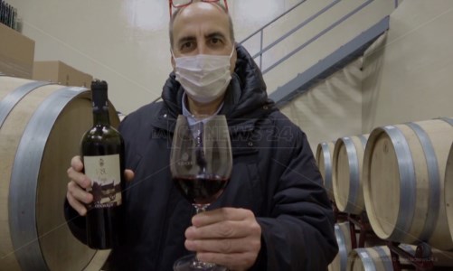 EccellenzeUn vino di Nocera tra i migliori al mondo. Odoardi: «Un pezzo di Calabria in bottiglia»