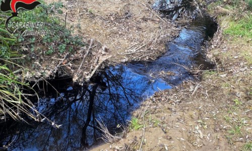 InquinamentoScarti della lavorazione delle olive in un torrente a Montalto: denunciato titolare di un frantoio