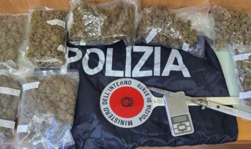 Tropea, nascondeva in casa più di 800 grammi di marijuana: arrestato