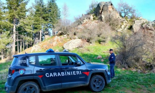 Strada pericolosaIncidente, a Corigliano Rossano scontro tra un’auto e una moto: centauro portato d’urgenza a Cosenza 