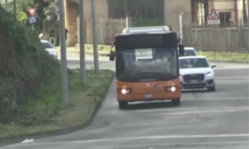 Il casoTrasporti: a Vibo Valentia un autobus che gira a vuoto senza meta, passeggeri e orari