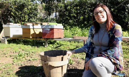 Benefici delle apiDalla passione di Francesca nasce nel Vibonese il primo apiario olistico in Calabria