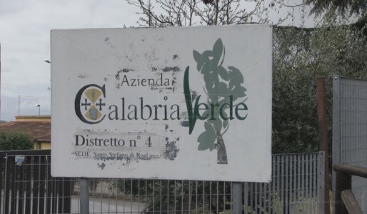 LavoroIl sindacato Csa-Cisal in forte crescita: aumentati iscritti e Rsu in Calabria Verde