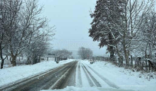 MeteoMaltempo in Calabria, nevicate in Sila anche a bassa quota: impianti sciistici aperti a Lorica e Camigliatello