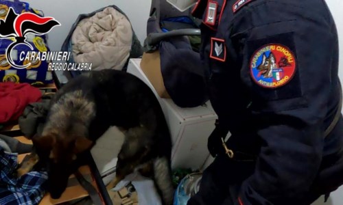 Blitz antimafia’Ndrangheta, scoperto nuovo “locale” nel Reggino: 9 arresti a Stilo per estorsioni, droga e danneggiamenti