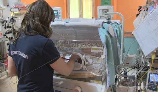 La due giorniAll’Università della Calabria la settima edizione del Congresso nazionale di Neonatologia Città di Alarico