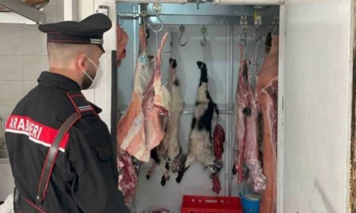 Sicurezza alimentareMacelleria abusiva nel Reggino, sequestrati 143 Kg carne mal conservata