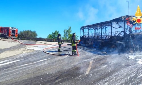 Tragedia sfiorataIncendio nel Cosentino, autobus di Ferrovie della Calabria prende fuoco durante il servizio di trasporto