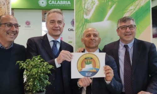 Made in CalabriaAgricoltura, il finocchio di Isola Capo Rizzuto ottiene il riconoscimento Igp: «Grande soddisfazione»