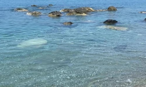 Mare inquinatoLa denuncia di un cittadino del Cosentino: «A San Lucido l’acqua è sempre sporca»