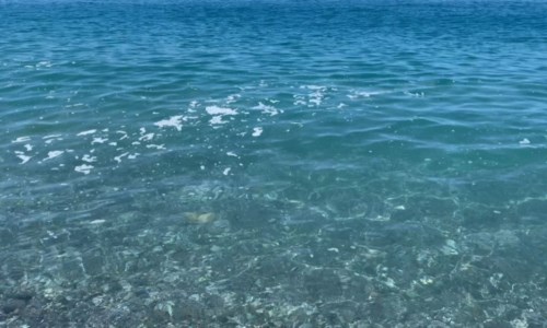 InquinamentoA Catanzaro il convegno Salviamo il mare: salute delle acque e depurazione al centro dell’incontro