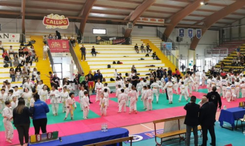 Sakura cupTorneo di Judo, a Vibo oltre 160 piccoli atleti provenienti da ogni angolo della Calabria