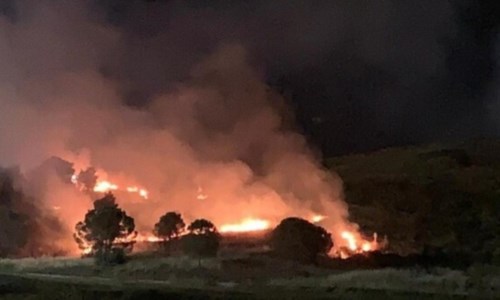 Il rogoIncendio doloso a Crotone, le fiamme devastano un parco comunale: «Vigliacchi che non amano la città»